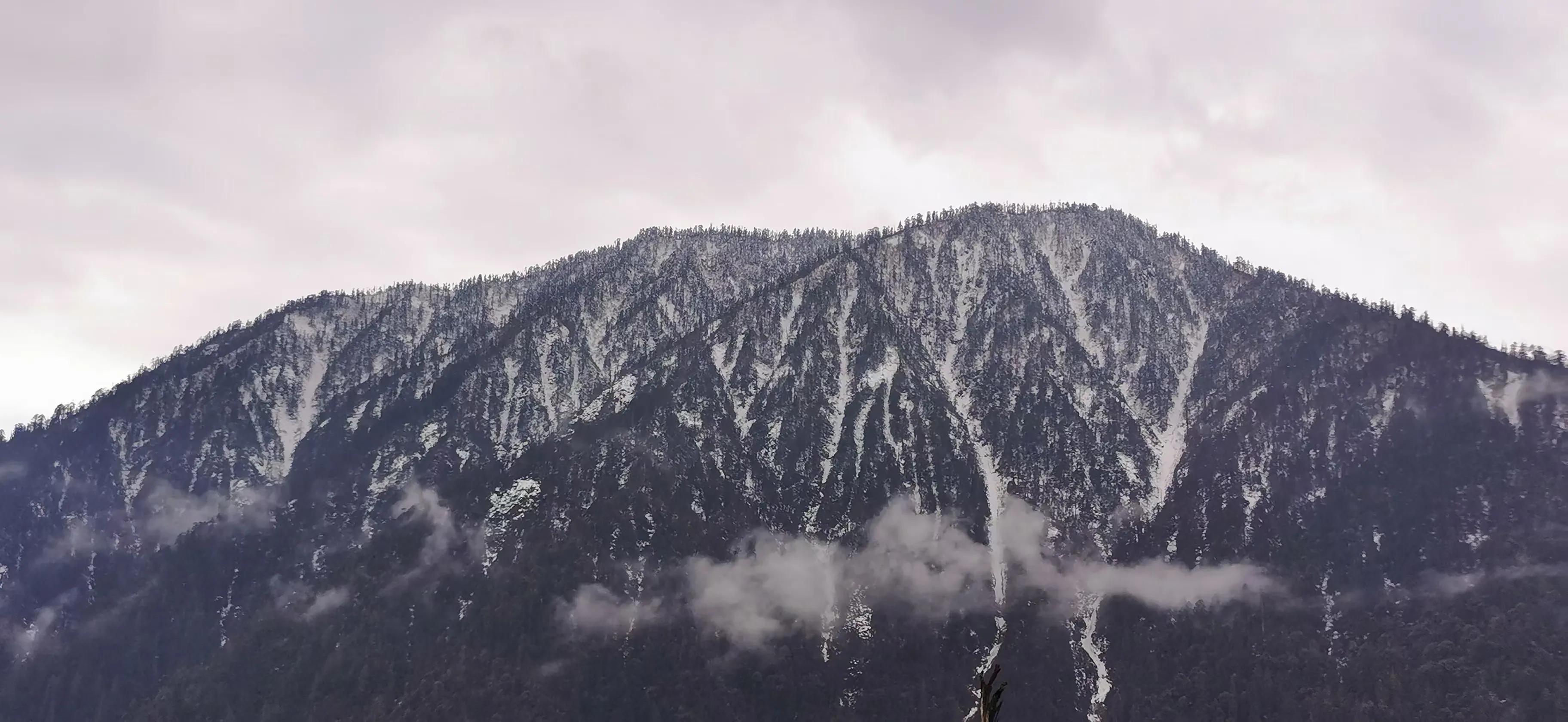 失落的时候也需要有人陪,后来才知道不需要有人陪