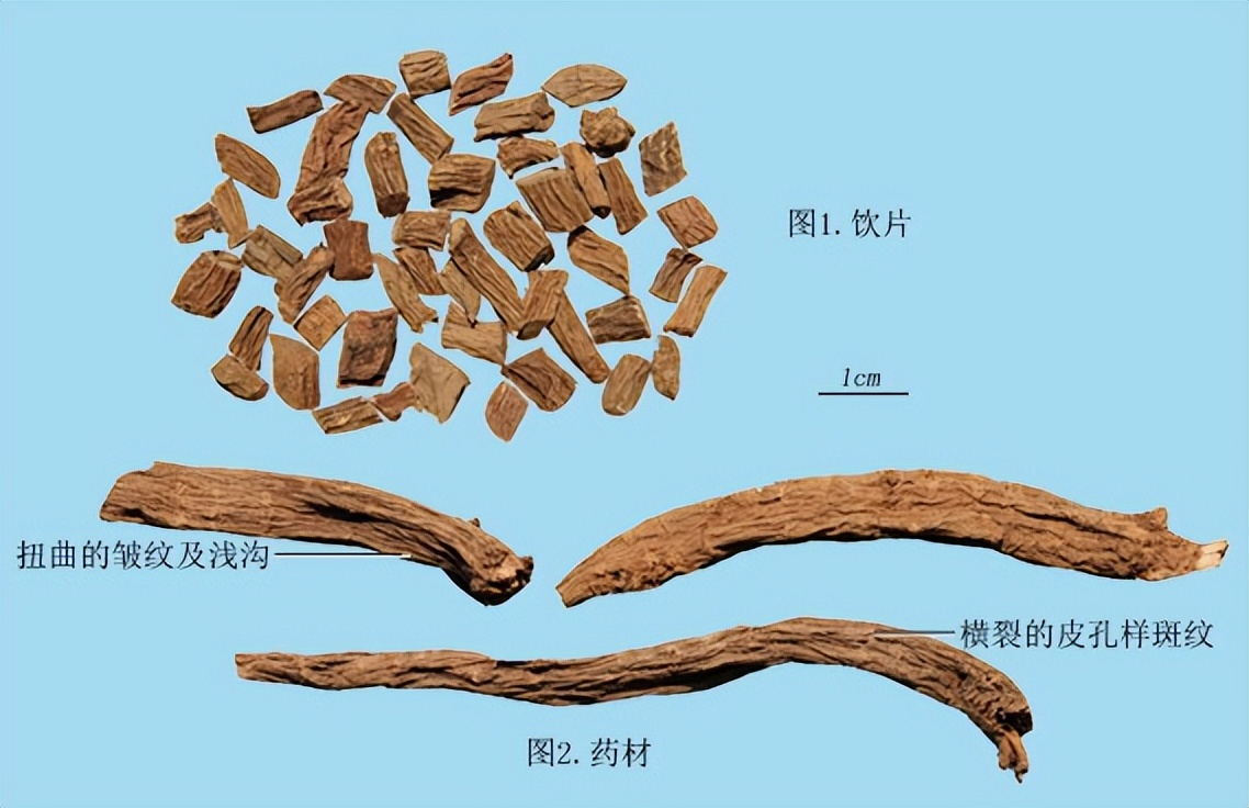 带你识别各种废旧塑料,带你识别白术