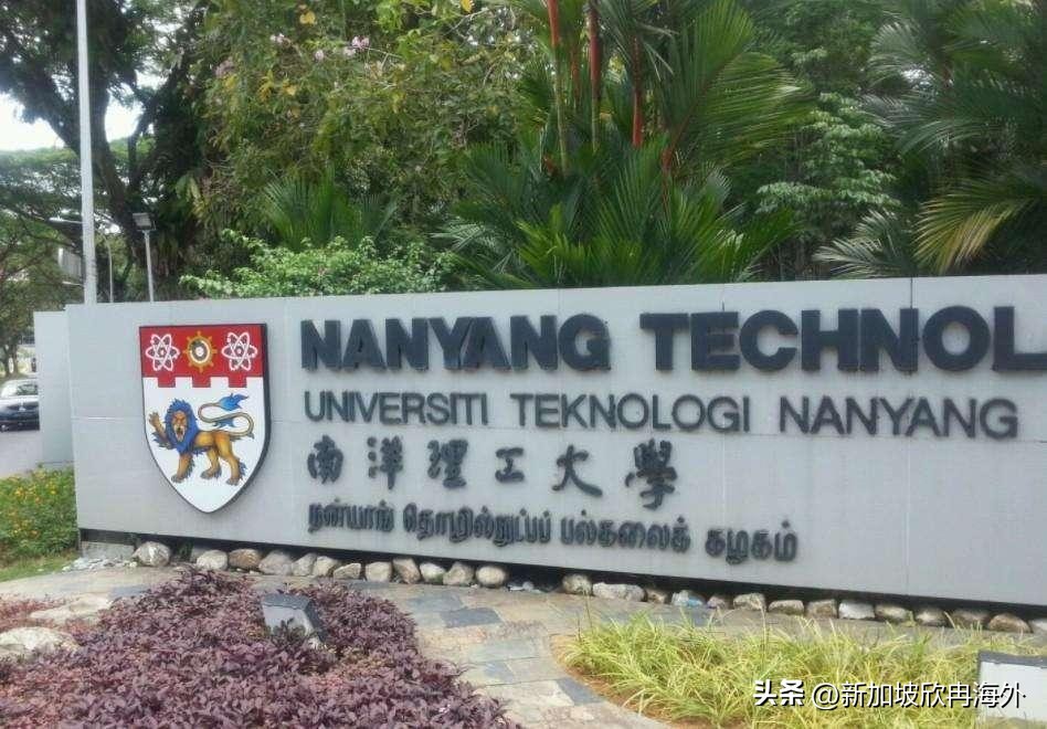 新加坡留学后就业发展,新加坡就业前景排名