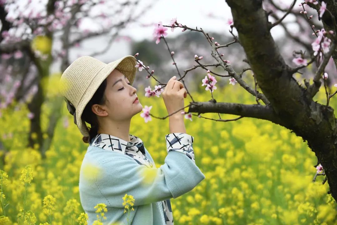 收好这份赏花攻略,春有约花不误一起来赏花