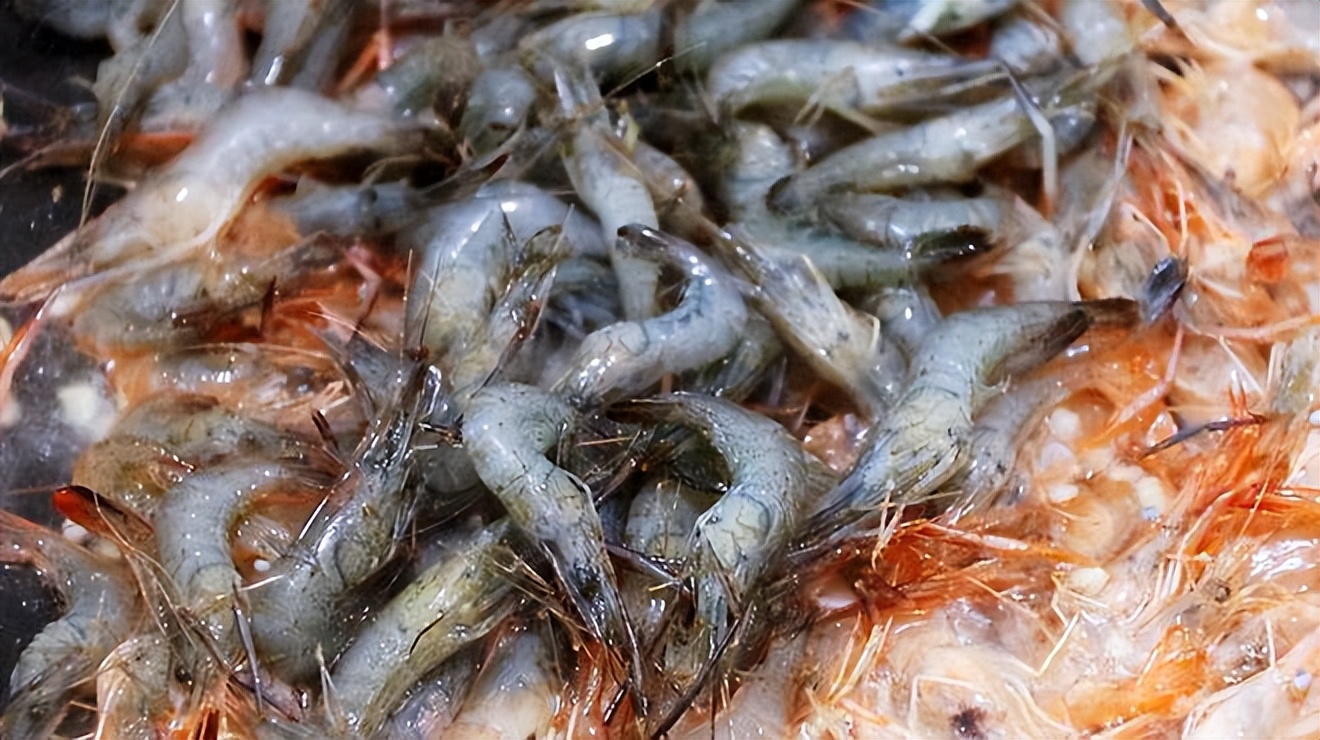 冬天最护肝养肝的食物,冬季养肝少吃这几种食物