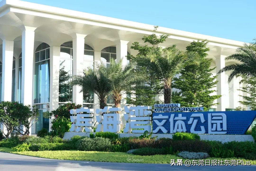 东莞可以看海和赏花的公园,东莞国庆看海游玩推荐