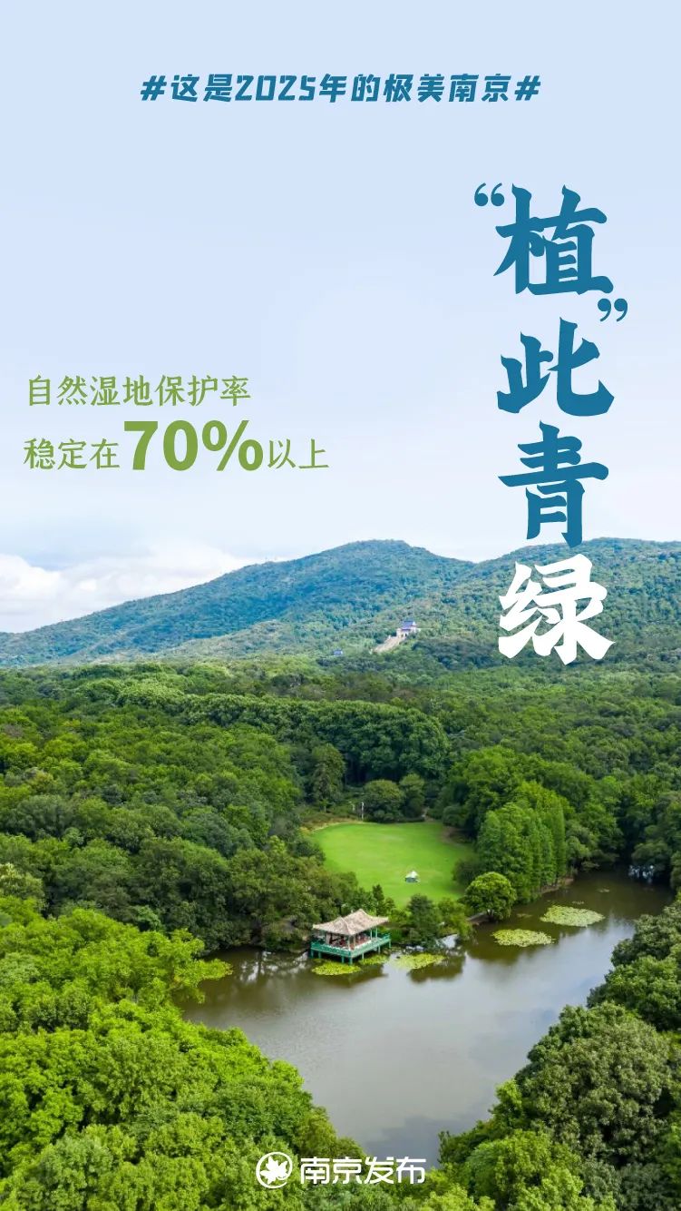 只此青绿片段赏析,莫负春光植青绿