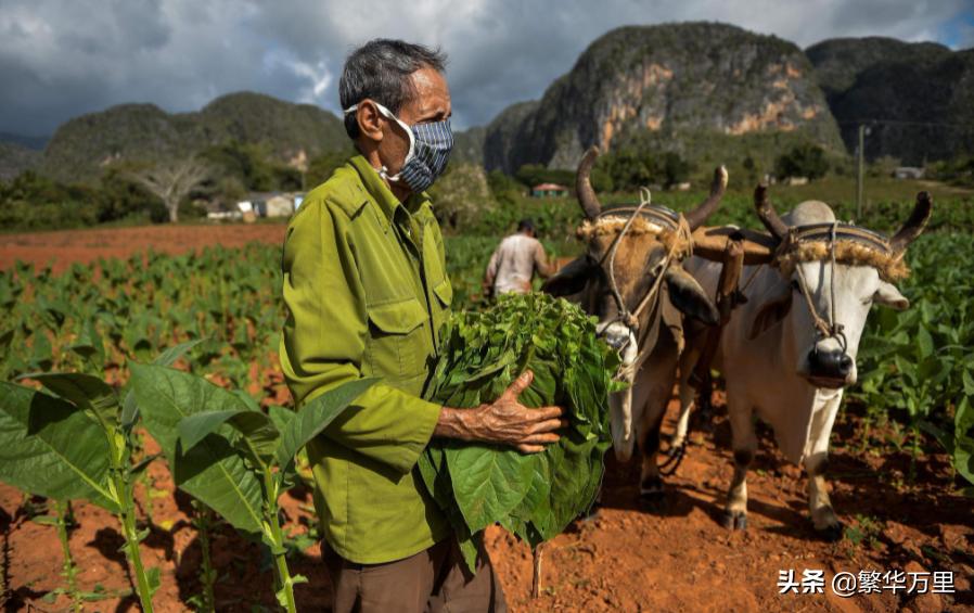 古巴2022年生产总值,古巴2022年人均年收入