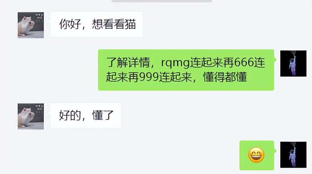 国外猫和国内猫品种,中国国猫是哪一个品种的猫