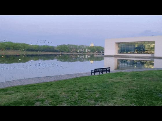 沈阳城市学院体育狂欢节视频,沈阳城市学院体育节