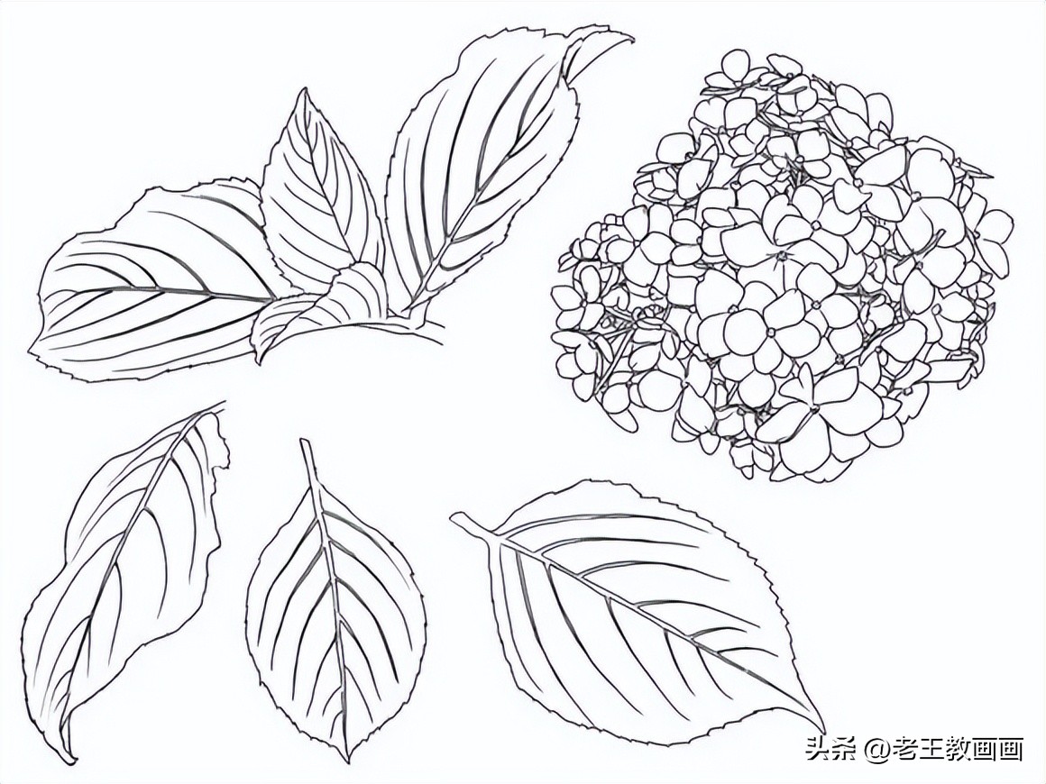 100种绘画基础入门,100幅零基础绘画教程