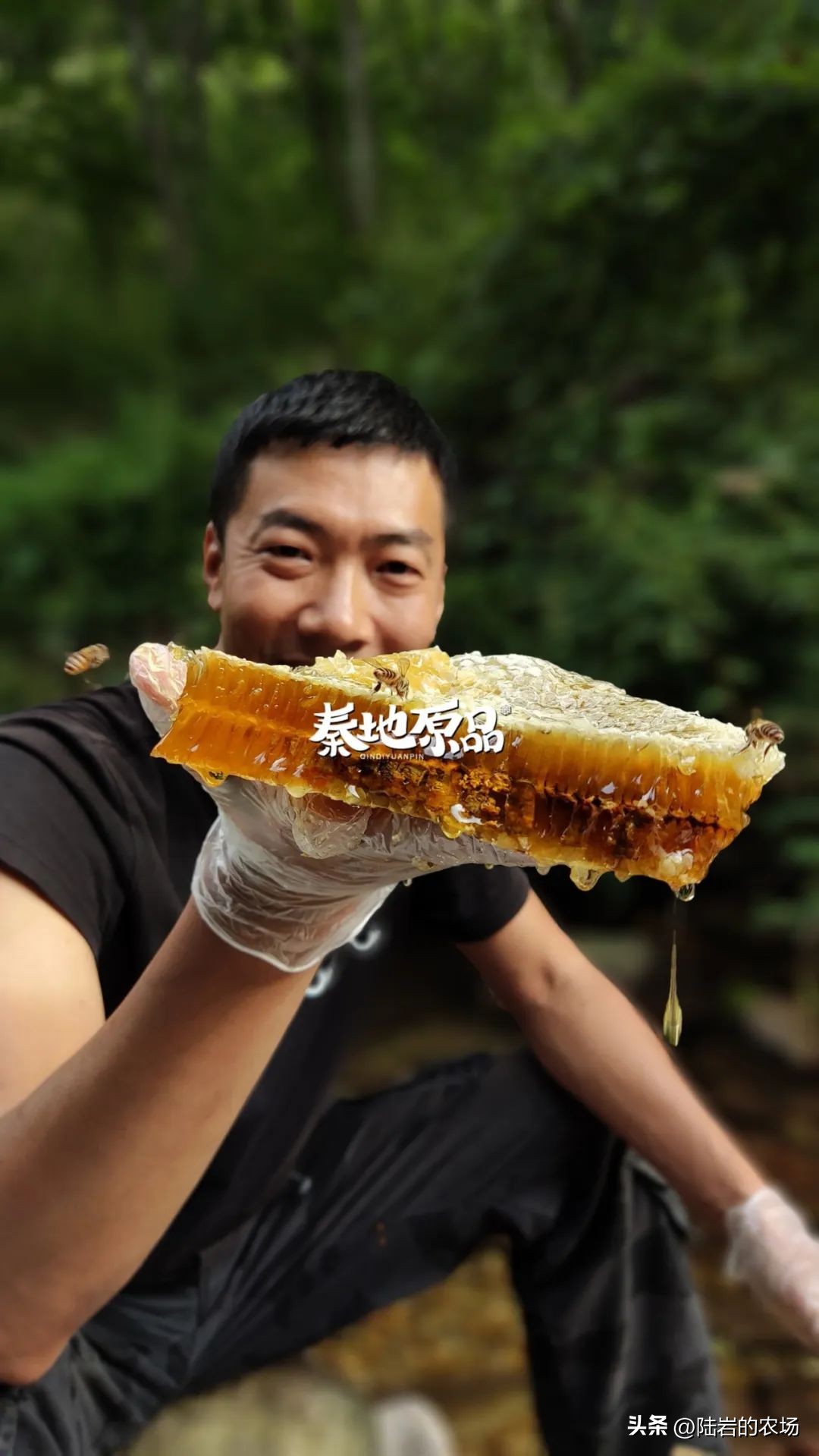 盘点市面五种常见蜂巢