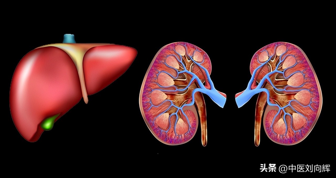 湿重头发油，血虚头发少，肝肾不足头发白，4个中成药，养好头发