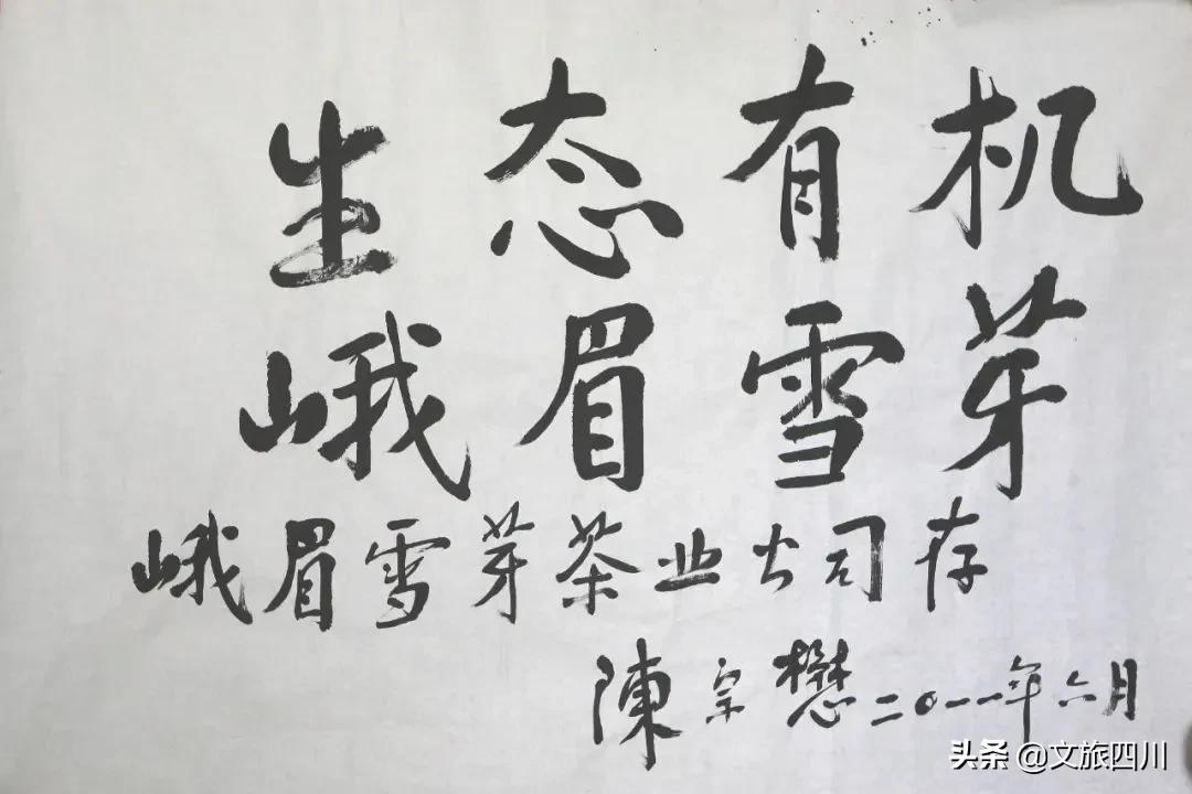 国际敬茶日,国际茶日徽茶迎天下