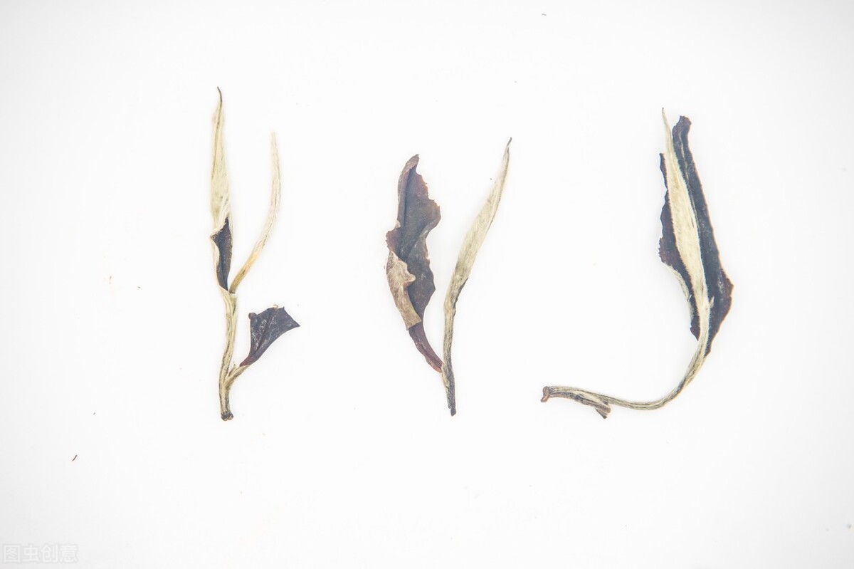 月光白云南白茶,云南月光白茶价格