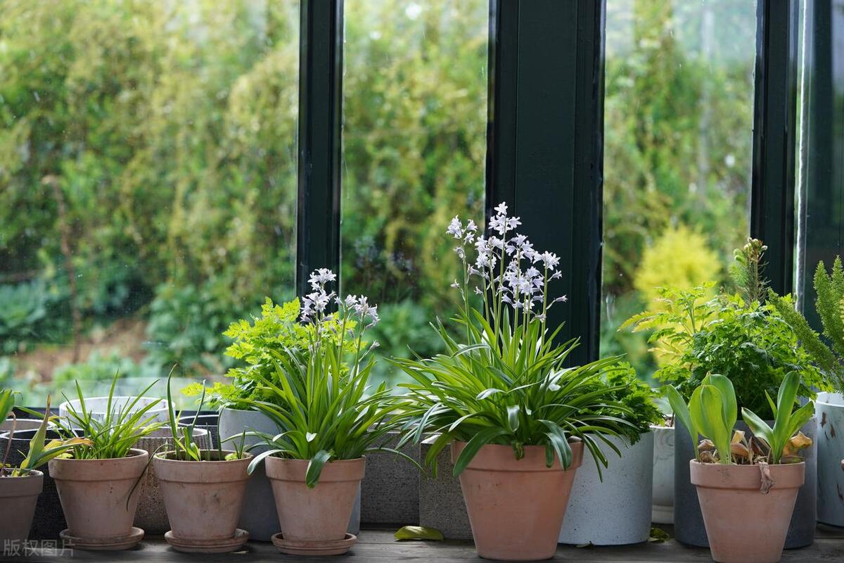 日本有什么不起眼赚钱的行业,哪些不起眼的东西比较赚钱