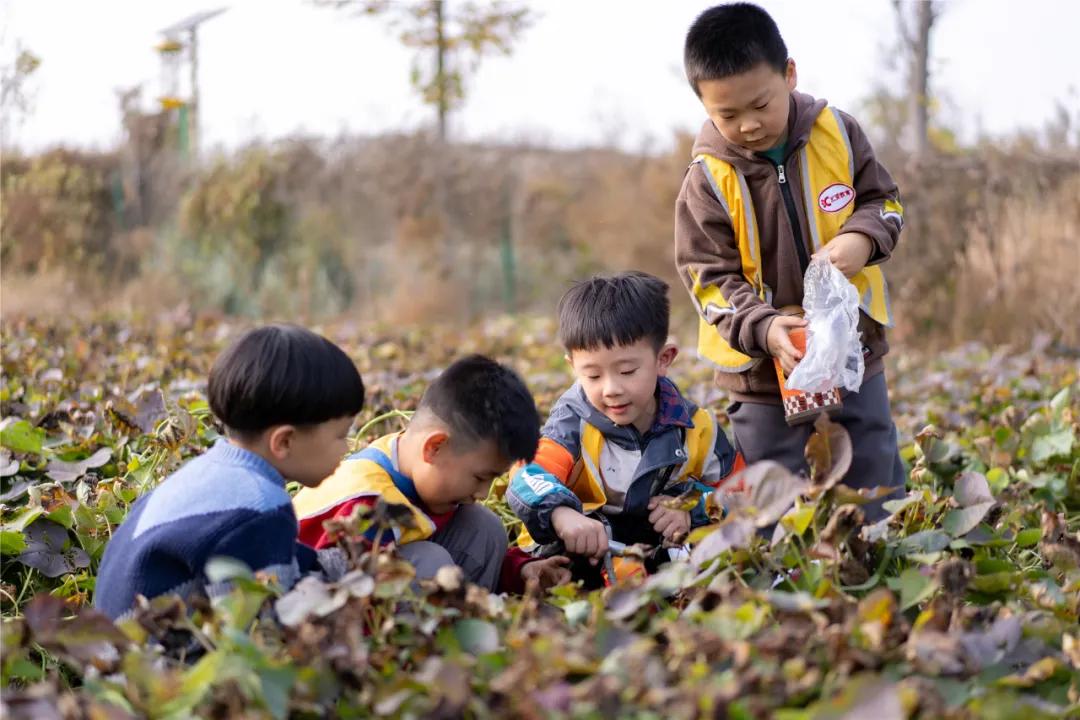 为孩子选择幼儿园一定要看这五条,孩子新上幼儿园如何准备攻略来了