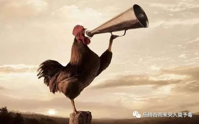 闻鸡起舞文言文的意思30字,文言文直通车中的闻鸡起舞