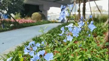 上海市文旅中心,上海数字文旅中心分部