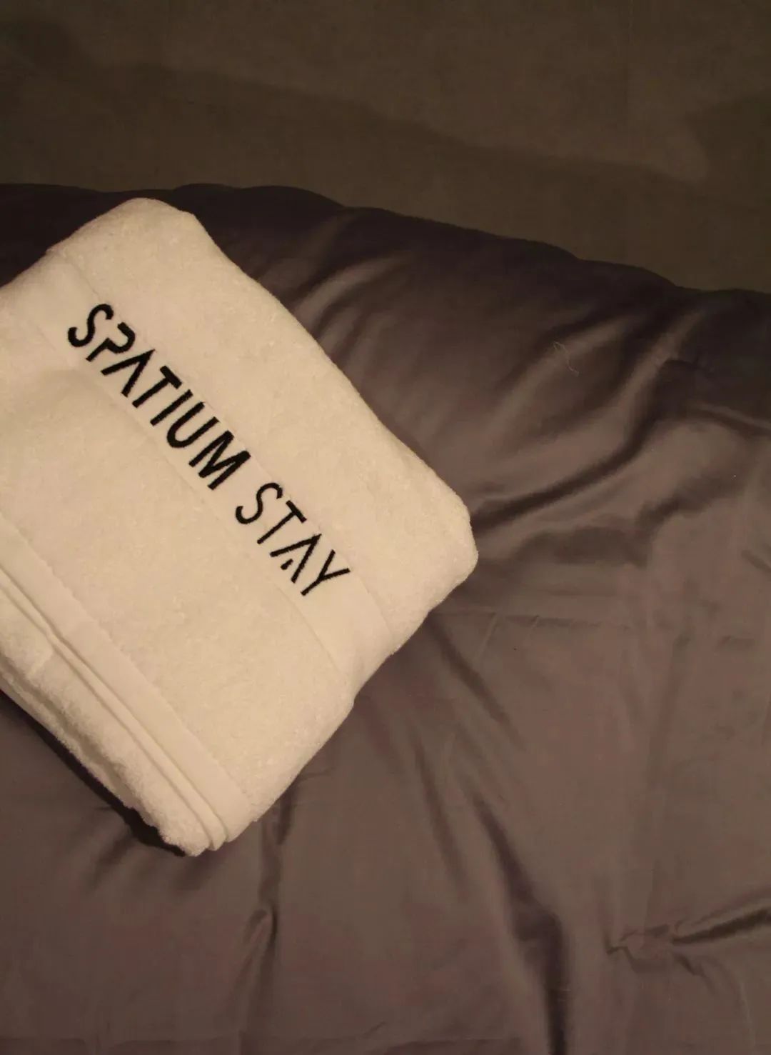 日本新宿东京哥斯拉主题酒店,日本旅游选酒店小技巧