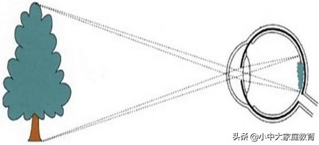 看过3D电影，你知道为什么要看3D电影要戴3D眼镜吗？