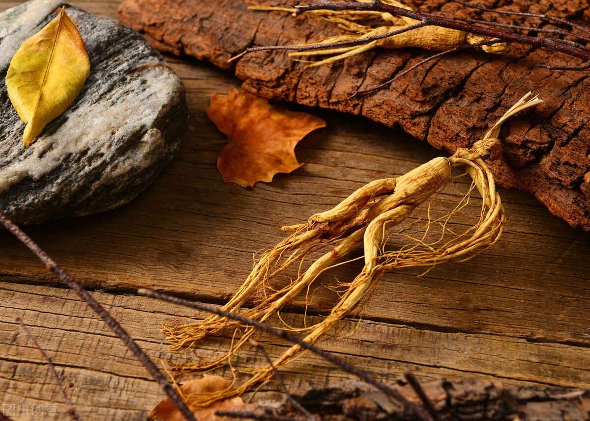 东北十大特产山货有哪些,秋冬季有啥山货