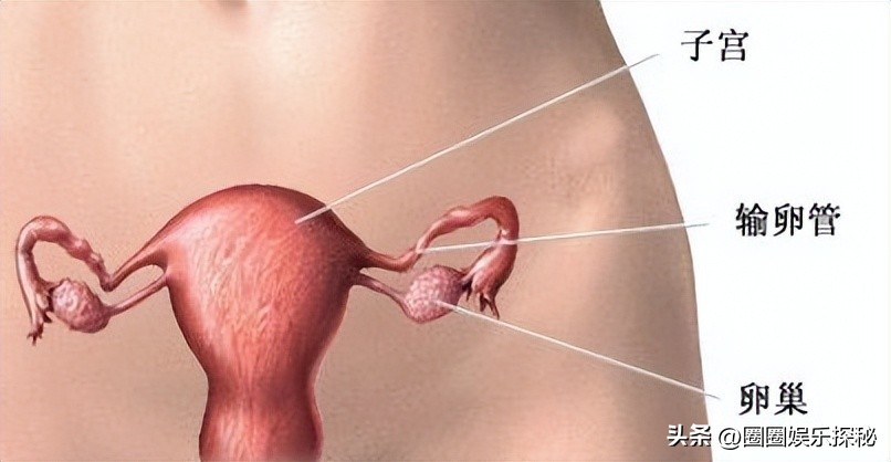 切除子宫给女人带来什么后果,切除子宫是什么病导致的