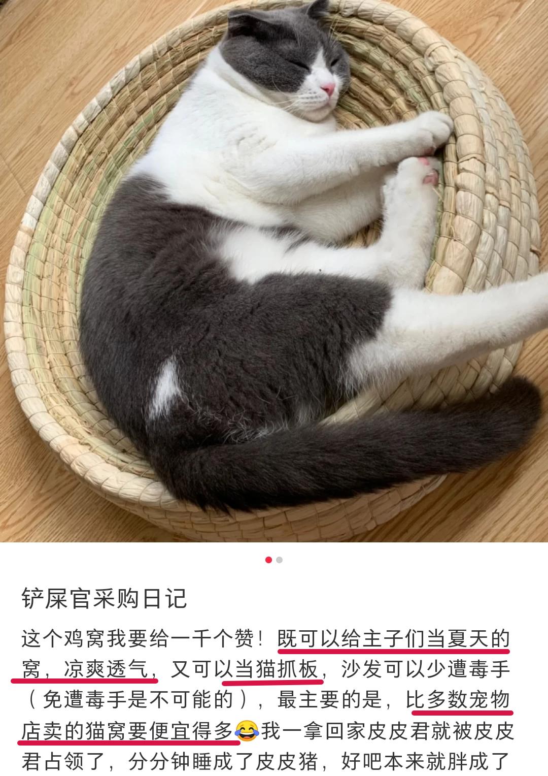 网购省钱的5个小绝招,网购学会这些省钱关键词