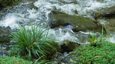 富士xh2s和富士xh2评测,富士xh2实拍体验