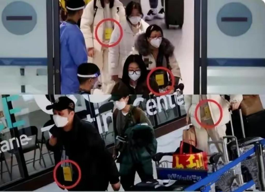 中国人去韩国旅游被韩国人说,中国人在韩国旅游现状最新消息