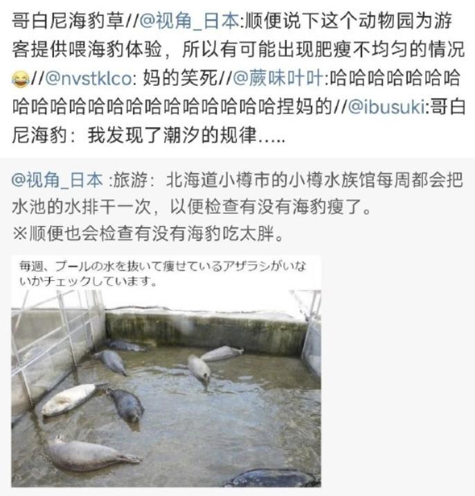 情人节冷笑话段子,情人节冷笑话段子大全