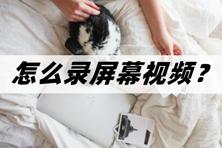 怎么录屏幕视频手机,怎么录屏幕视频