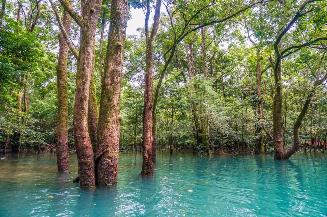 最适合发朋友圈的春天诗句,100句绝美春日诗词温柔又浪漫