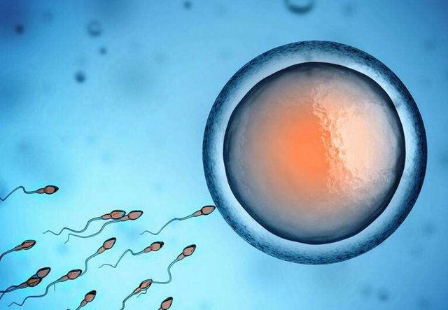 “人工受精”与“人工授精”，只有一字之差，两者的区别却不小
