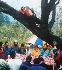 日版“西游”气坏央视，杨洁花300万拍出日本5000万达不到的效果