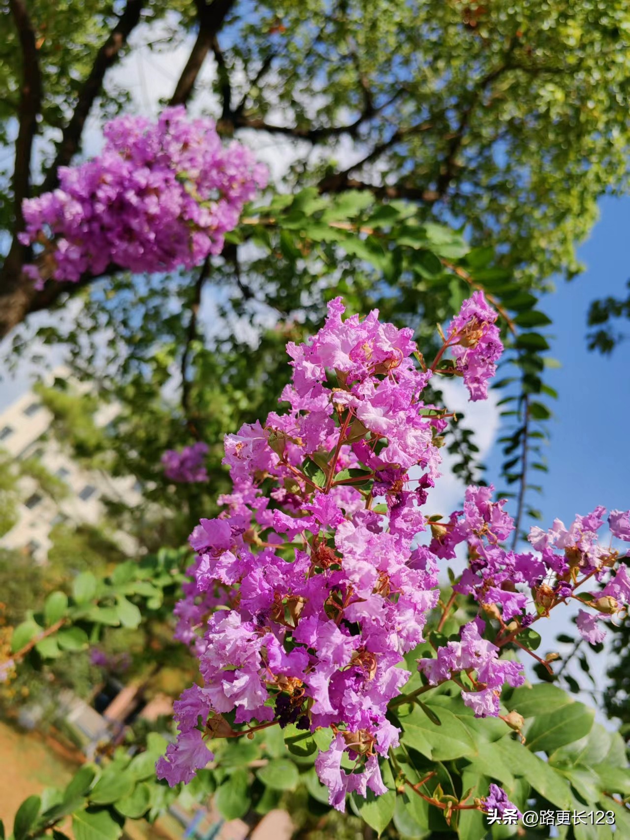 有关秋实的散文,秋实经典散文