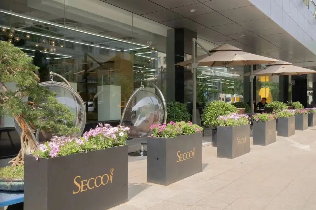 北京总部人去楼空,背了一身债、官司缠身的寺库跑路了?