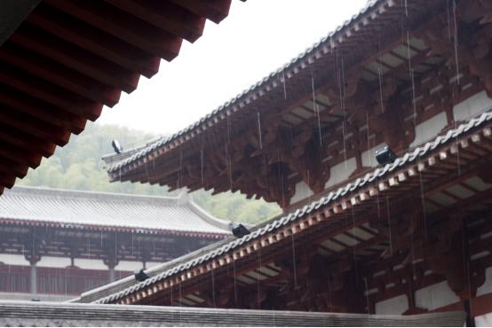 宁波九龙湖山水风景如画,宁波九龙湖景区