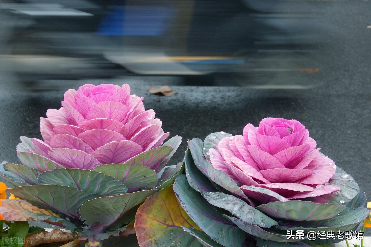 修行和赚钱都是一个人最好的,人生最好的修行是什么