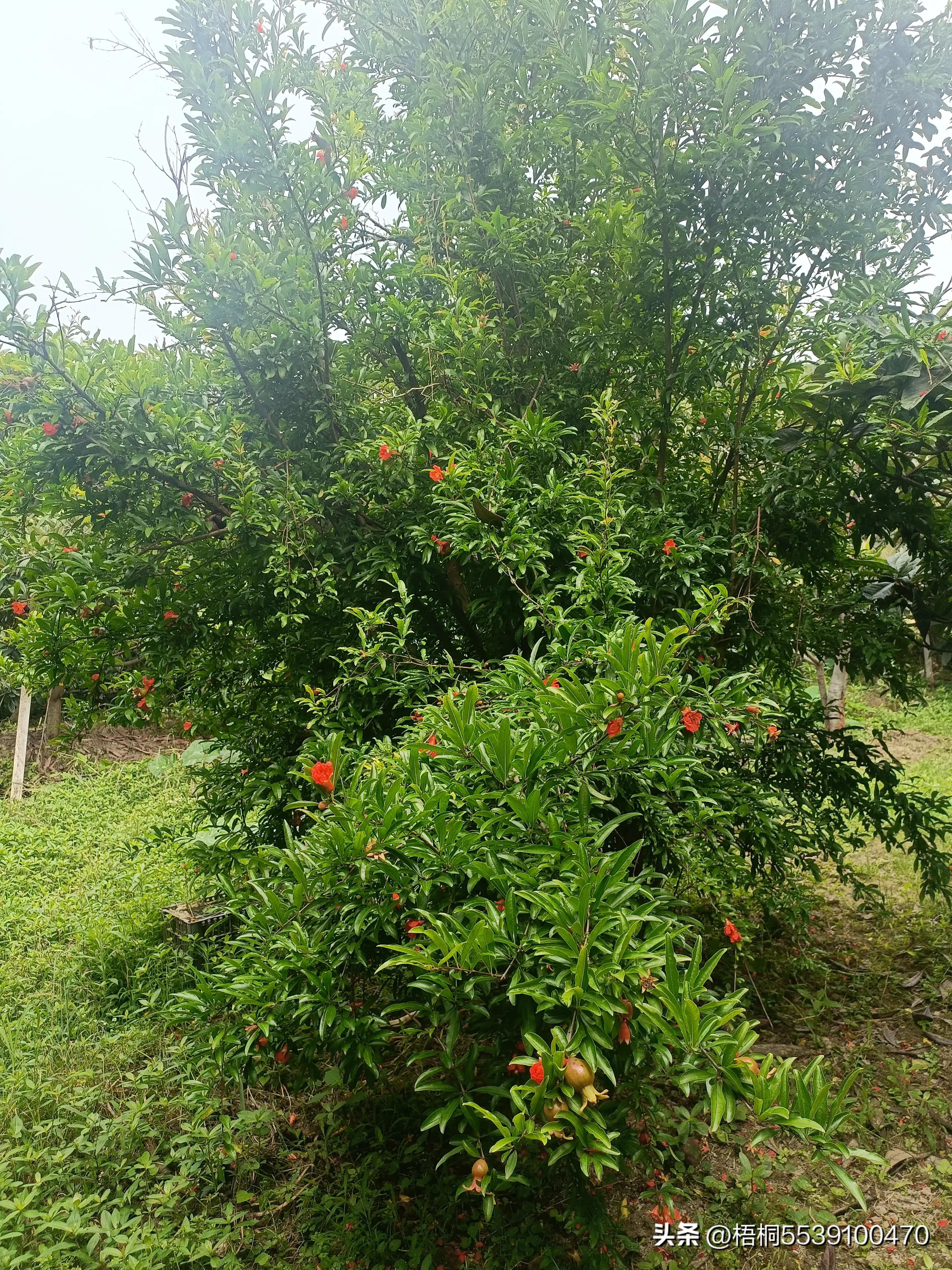 苏州洞庭西山有什么好玩的,苏州太湖东山还是西山好玩