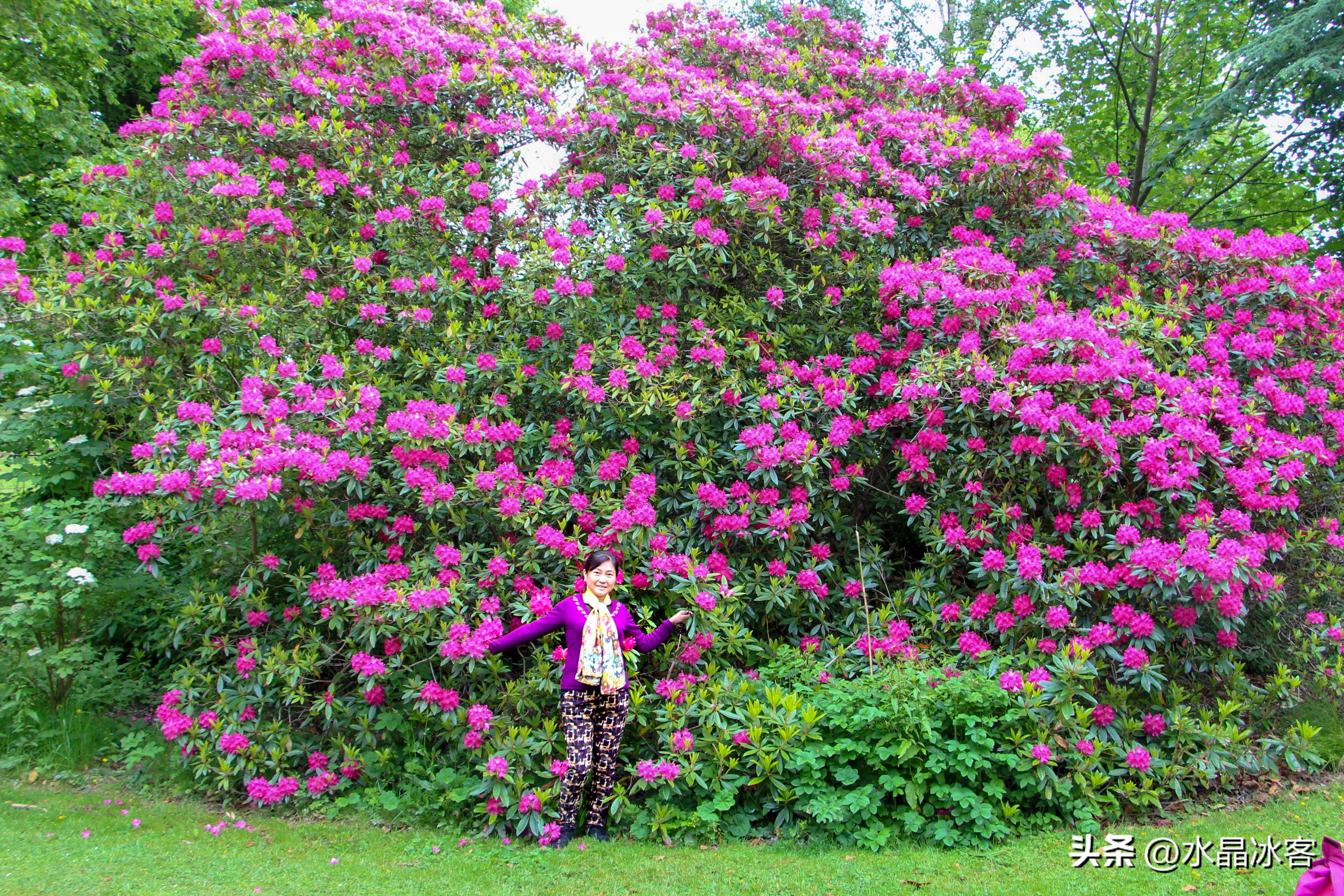 英国爱尔兰苏格兰旅游攻略,苏格兰爱尔兰北爱尔兰