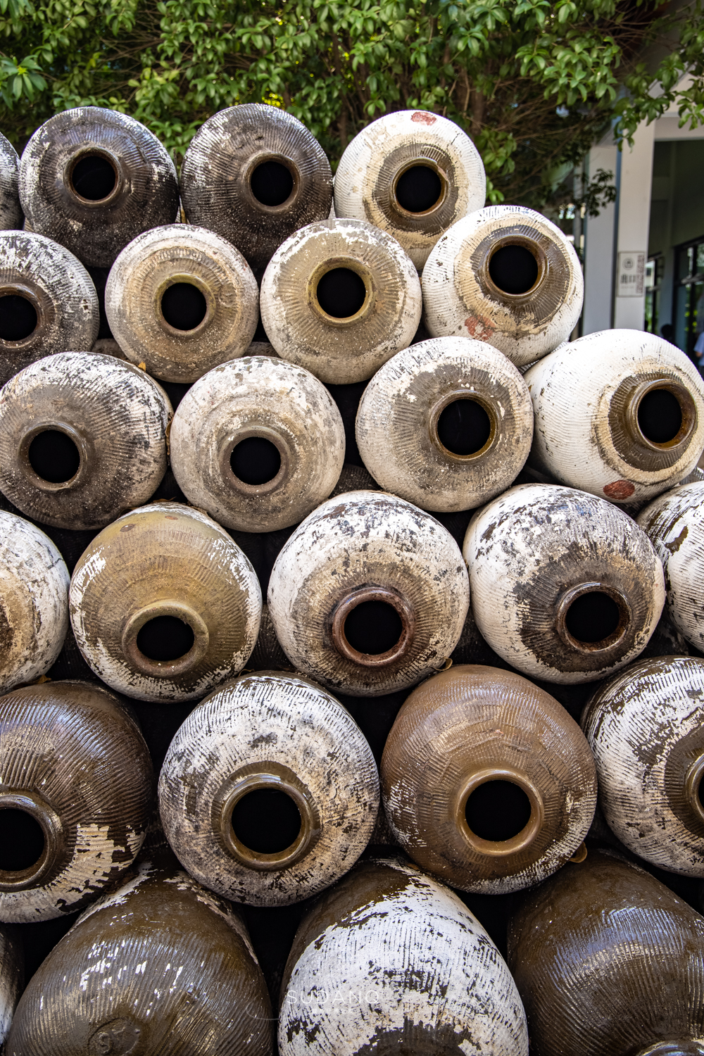 绍兴是东方威尼斯吗,绍兴为什么被称为东方威尼斯