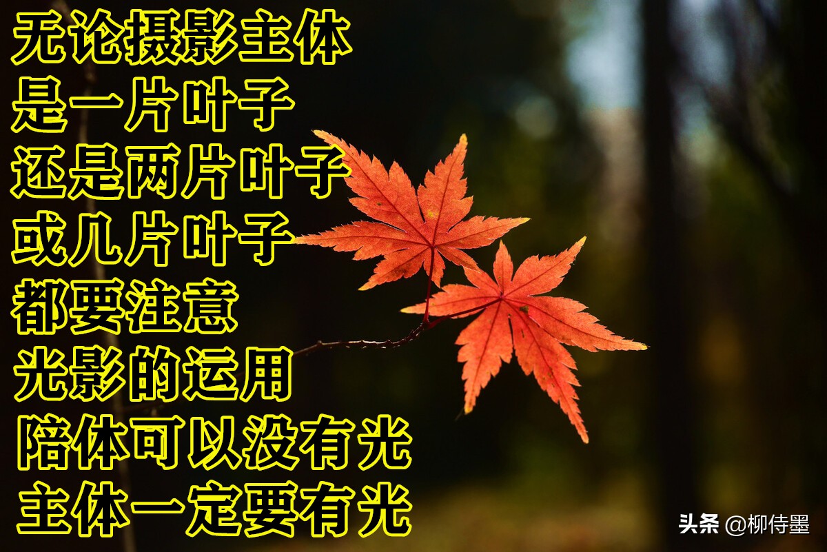 拍照不好看只要学会这些小技巧,摄影大师教你拍照技巧