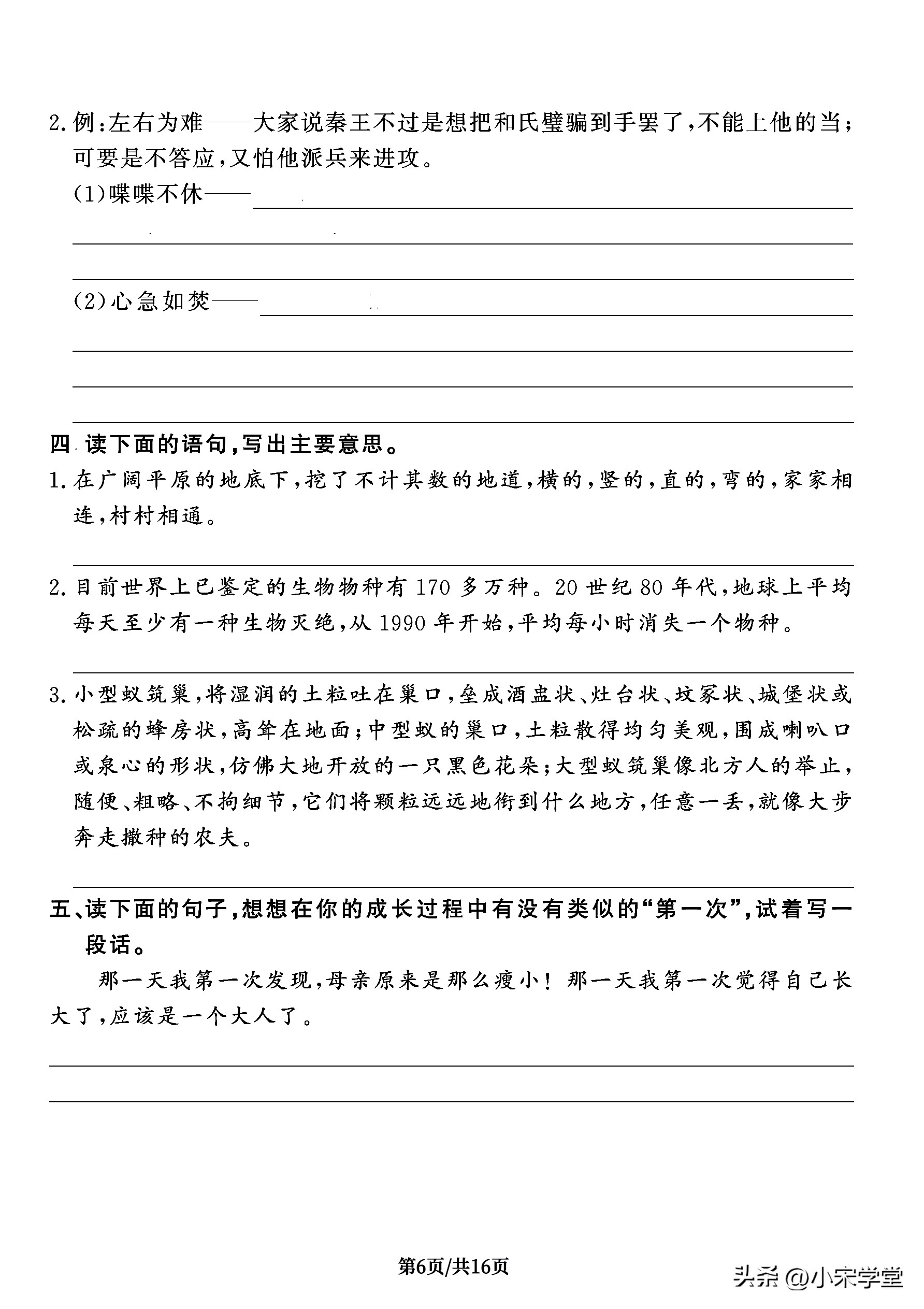 五年级上册语文常考题型必背归纳,五年级语文必考题型100题精讲