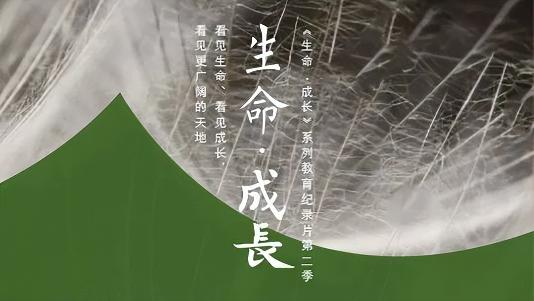 这14部电影教你如何教育孩子,不知如何教育孩子时应该看的电影