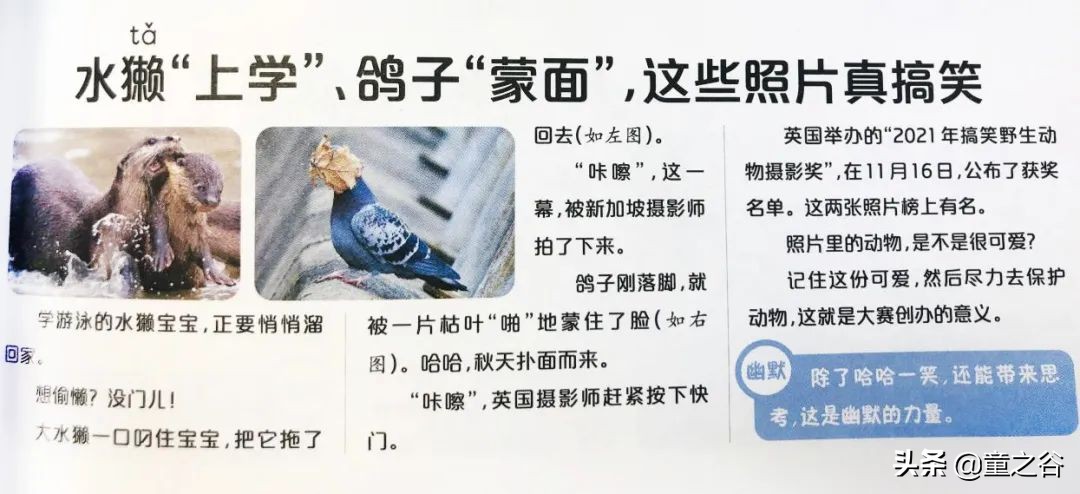 国内第一份新闻故事报,小学生也能轻松读懂时事热点