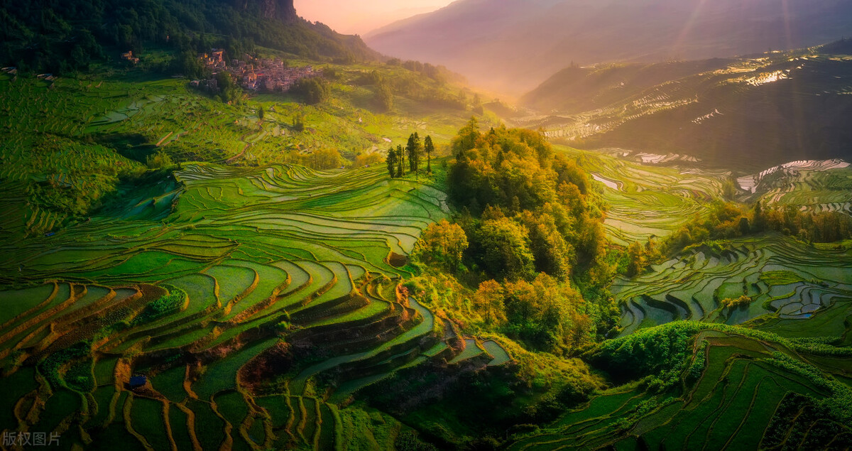 奇葩的购物商店,奇葩商场购物