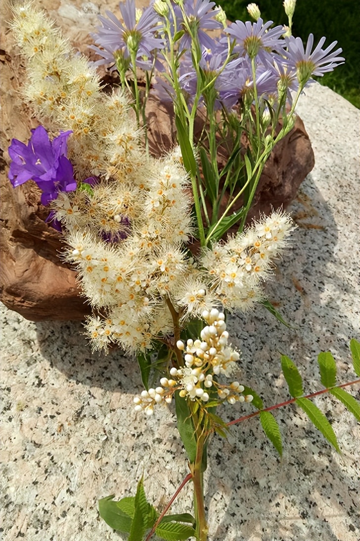 一场人与虎之间的绝世博弈，一个酣畅淋漓的儿童文学故事