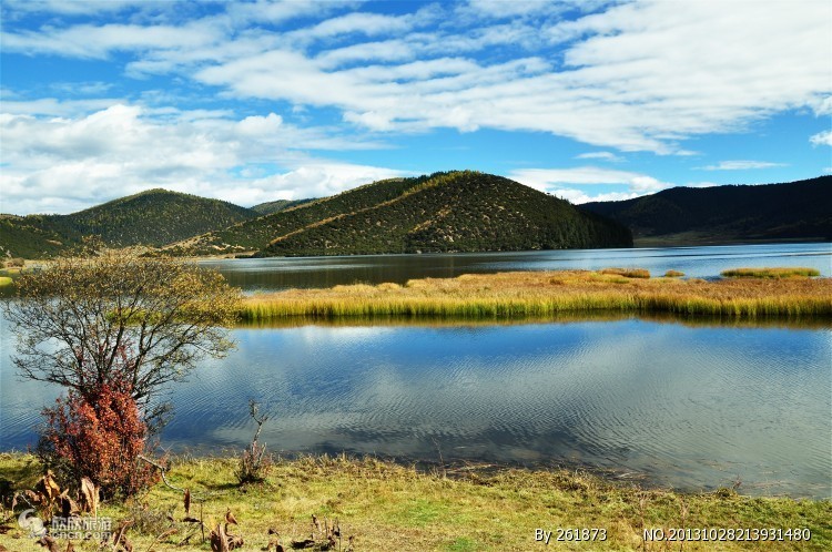 去云南旅游报团还是自由行比较好,去云南跟团旅游怎么样报团便宜点
