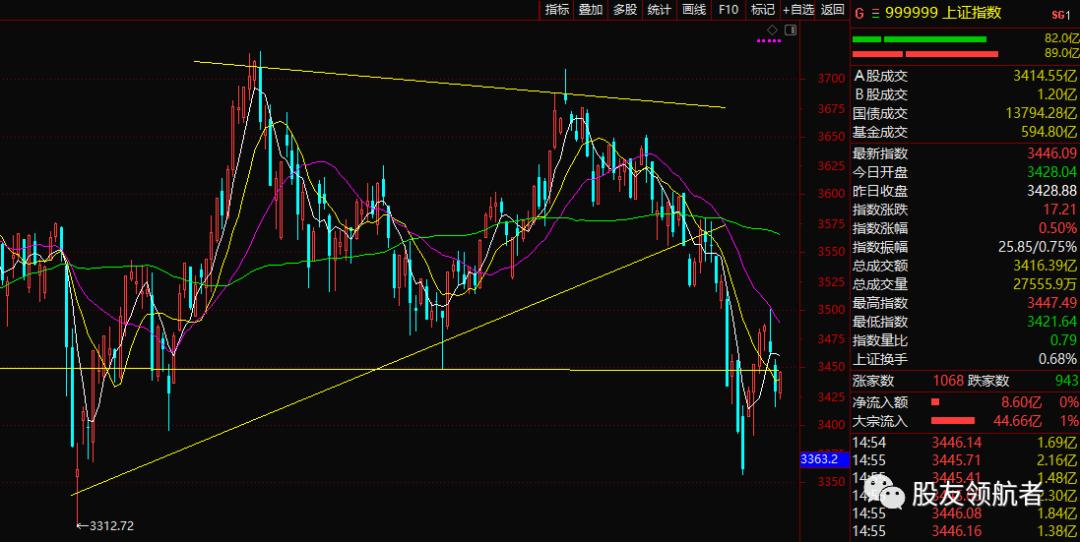 热门题材股连续两日跌停会反弹吗,市场反弹题材股