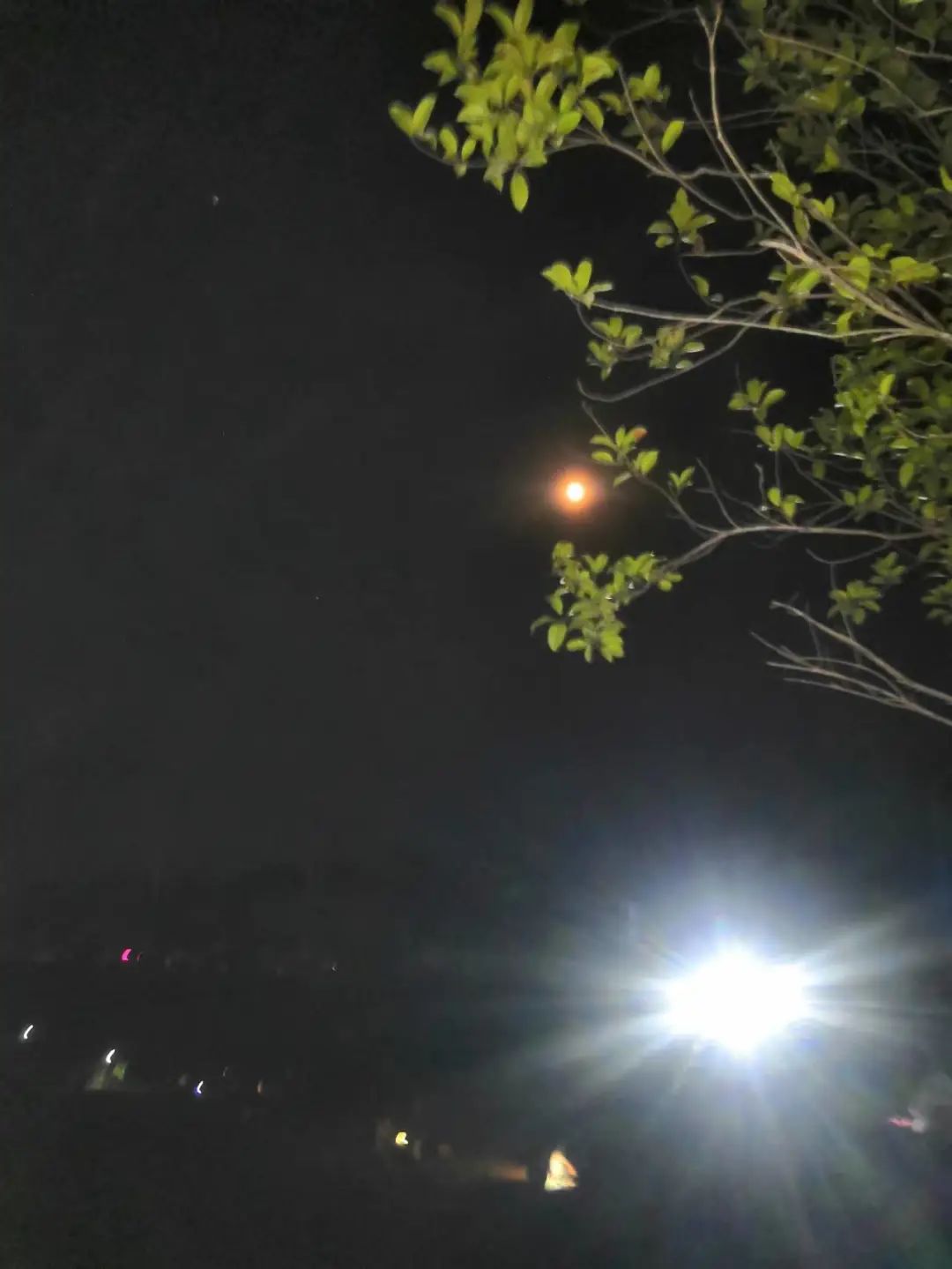 中秋诗词四首全文,中秋节诗词赏析5首