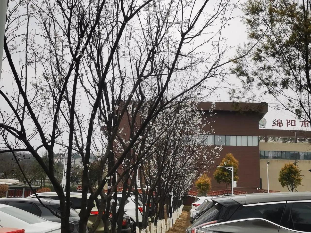 英语写作万能句型第八期,英语写作万能句大全