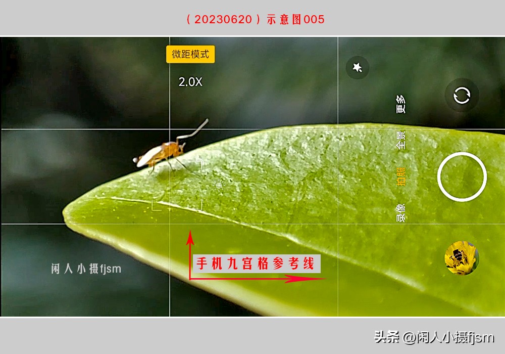 手机摄影构图技巧全解,玩转手机摄影一学就会的构图技巧