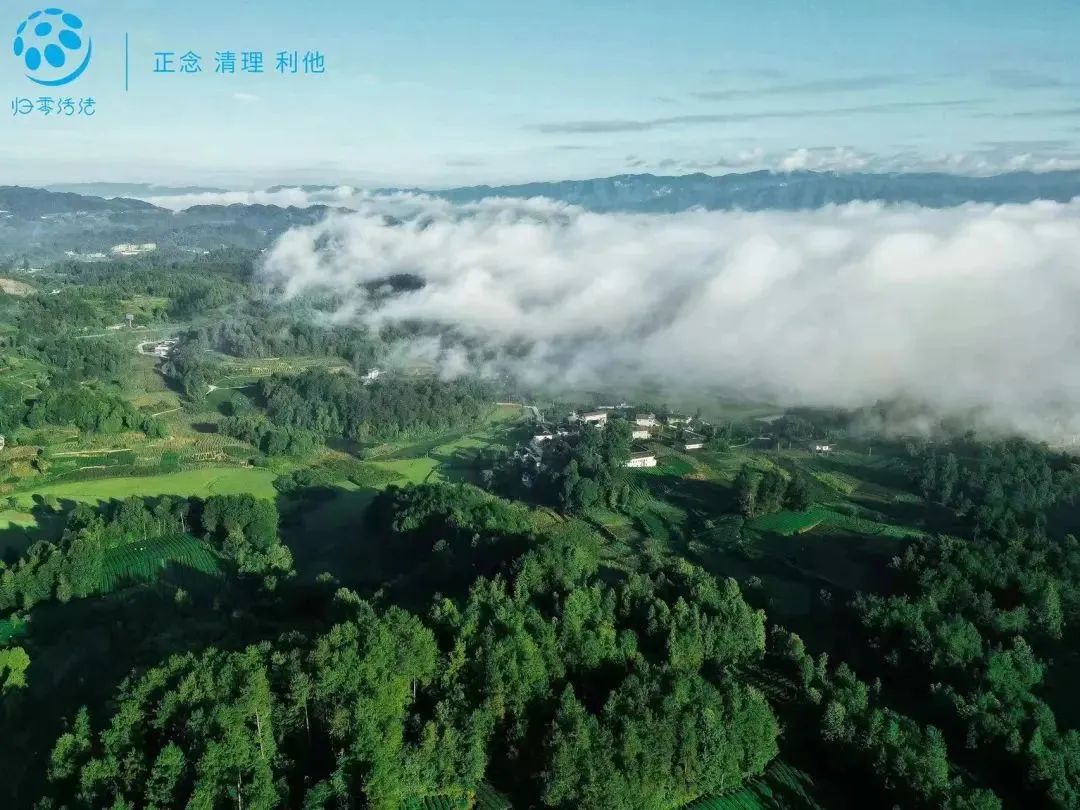 春节来光明“桥”见1958，寻找光明记忆